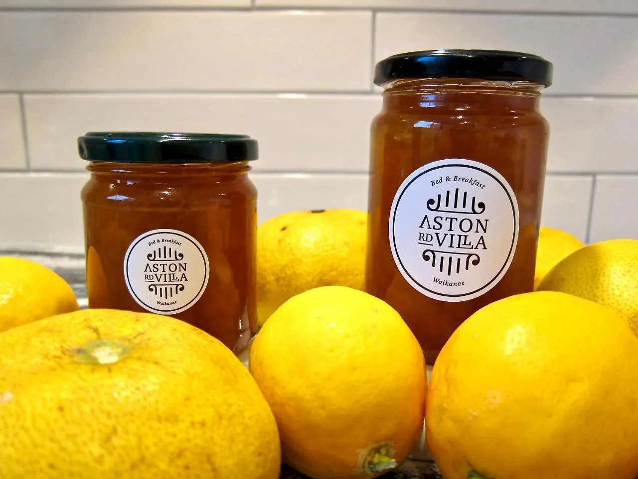 Aston Road Villa Bed & Breakfast Waikanae